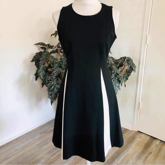 J. Jill Dresses & Skirts - Christian Siriano for J.Jill pleated dress